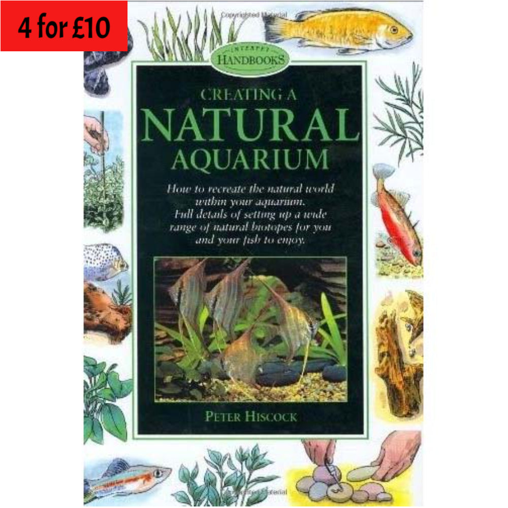 Creating a Natural Aquarium