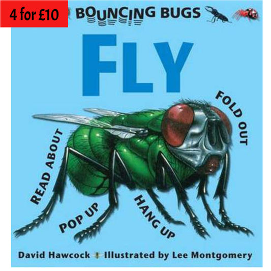 Fly - A Bouncing Bugs Book