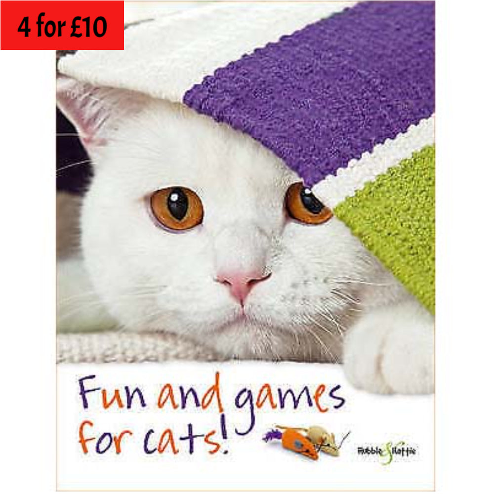 Fun and Games for Cats