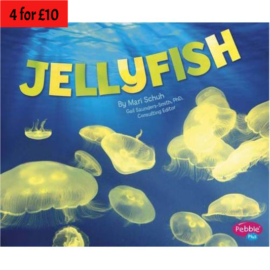 Jellyfish