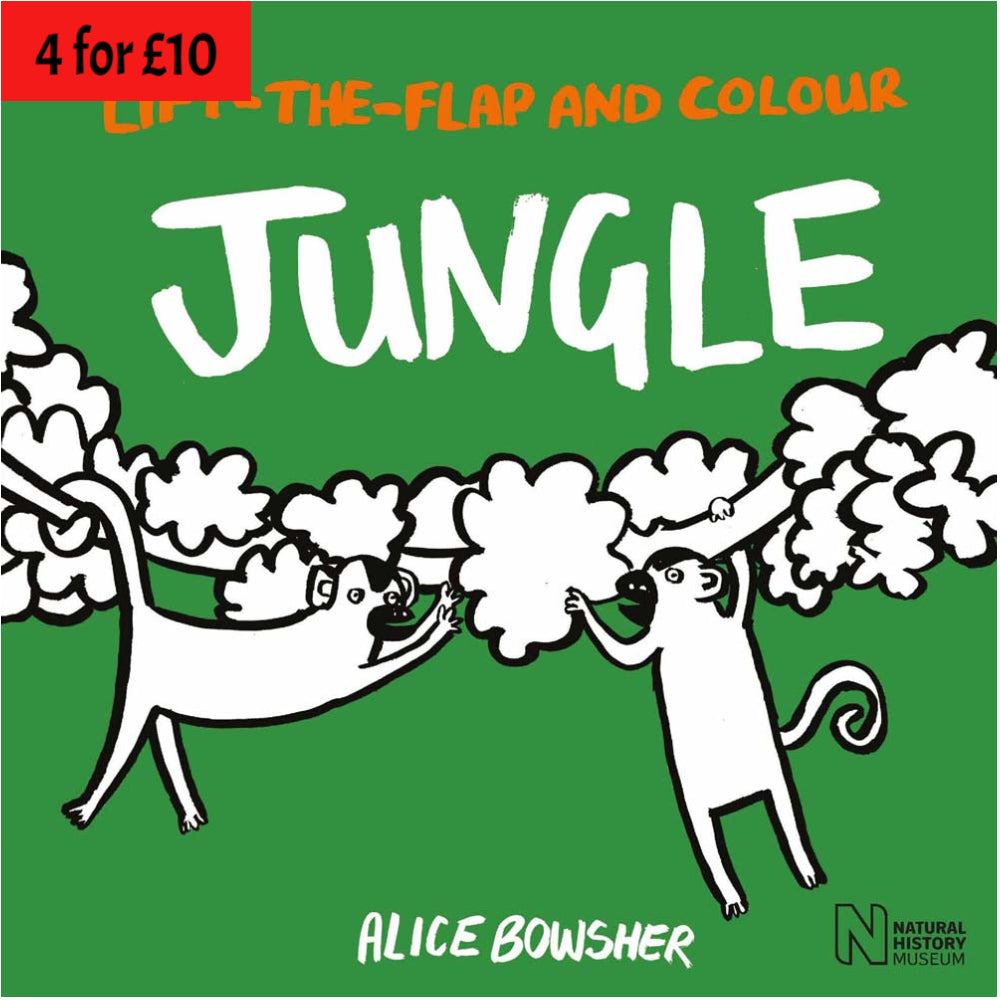 Lift-the-Flap and Colour: Jungle