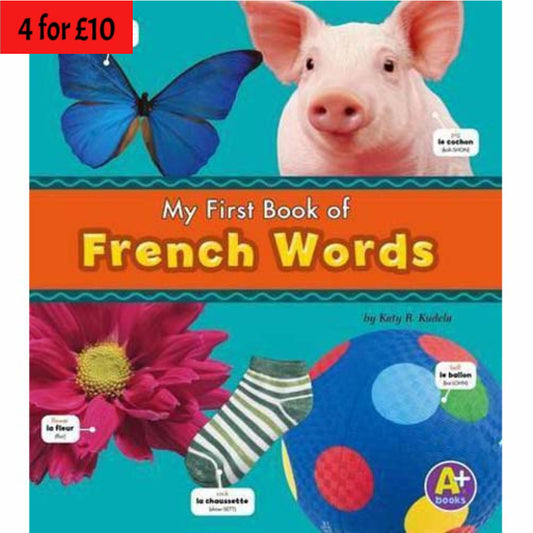 My first Book of French Words - English/French Picture Dictionary