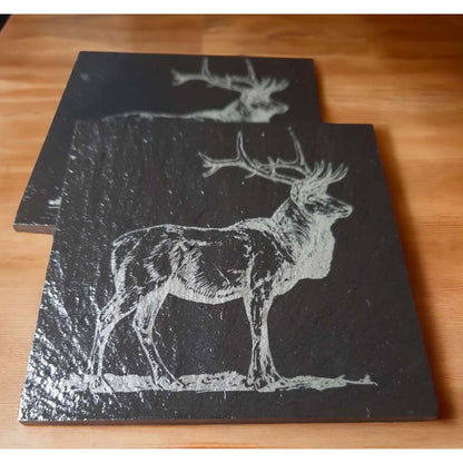 Slate Coasters - Animals