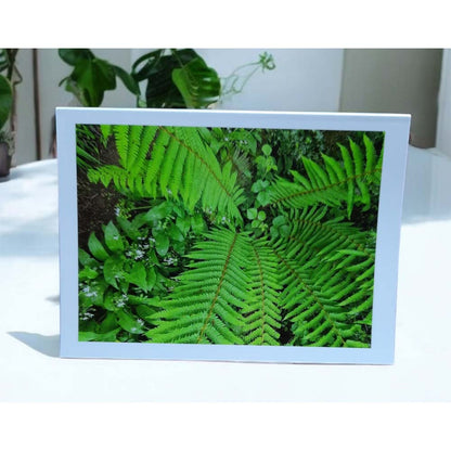 Fern & Wild Garlic Photo Cards