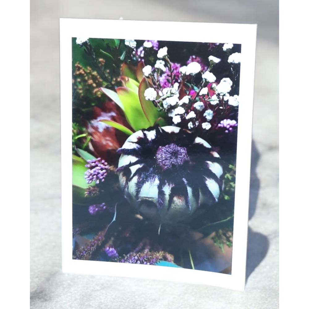 Purple and White Flower Cards