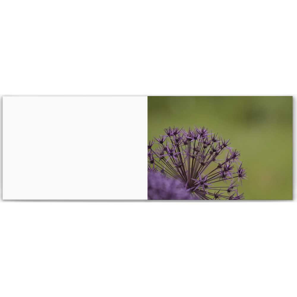 Thistle Photocards (Pack of 5)