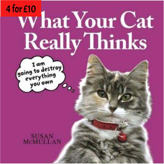 What Your Cat Really Thinks