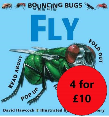 Fly - A Bouncing Bugs Book