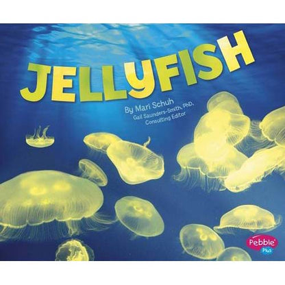 Jellyfish