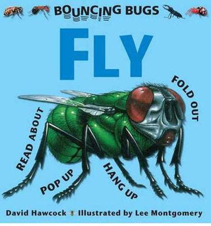 Fly - A Bouncing Bugs Book