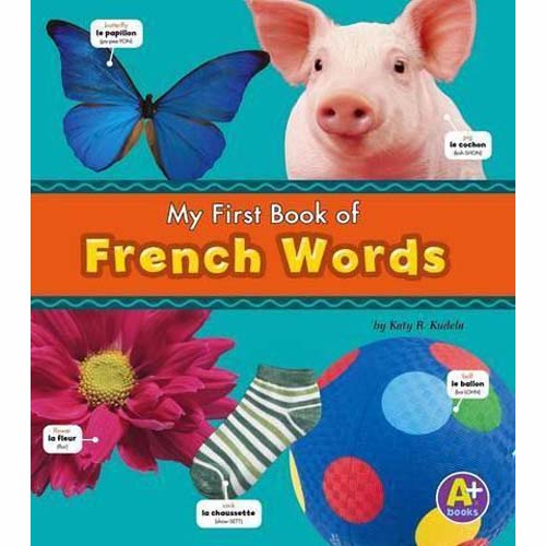 My first Book of French Words - English/French Picture Dictionary