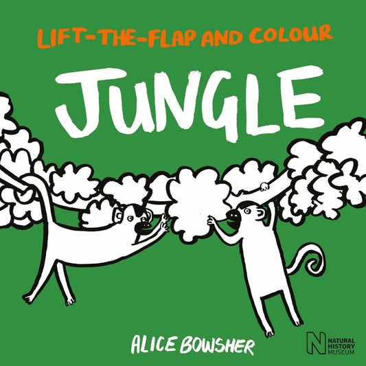 Lift-the-Flap and Colour: Jungle