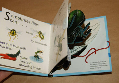 Fly - A Bouncing Bugs Book