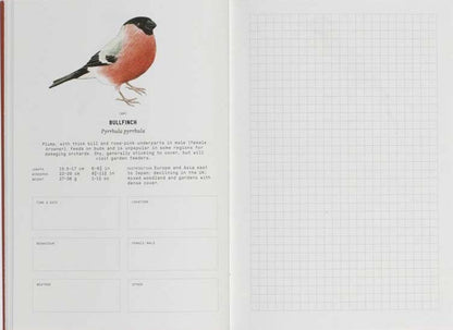 City Birds: An Urban Birdwatching Logbook