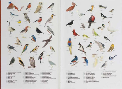 City Birds: An Urban Birdwatching Logbook