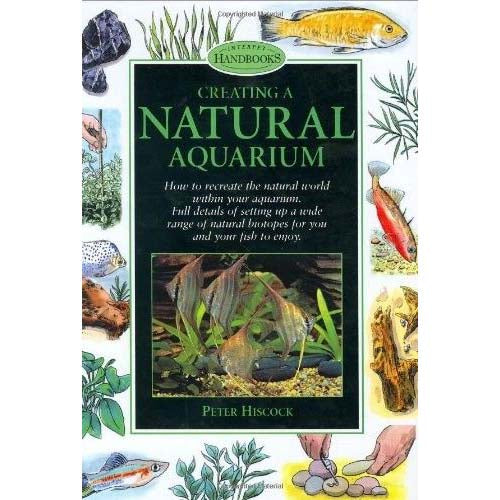 Creating a Natural Aquarium